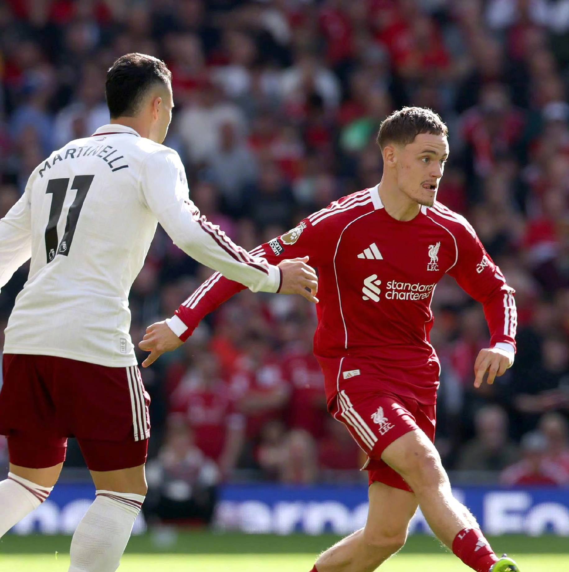 注日本拳协 注日本拳协