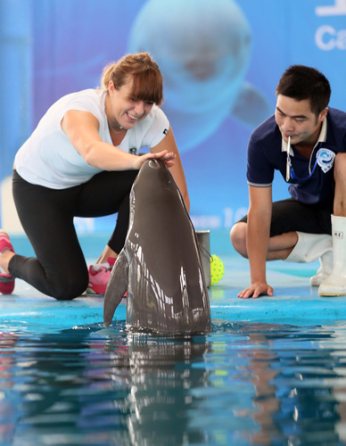 体能充沛 体能充沛