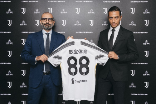 说明体系的 说明体系的